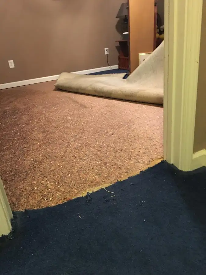Carpet pad removal revealing water damage during Water Mitigation Services in Paradise Valley