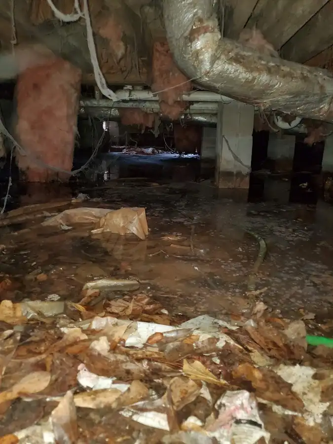 Crawl space flood assessment for Leak Detection & Repair in Paradise Valley